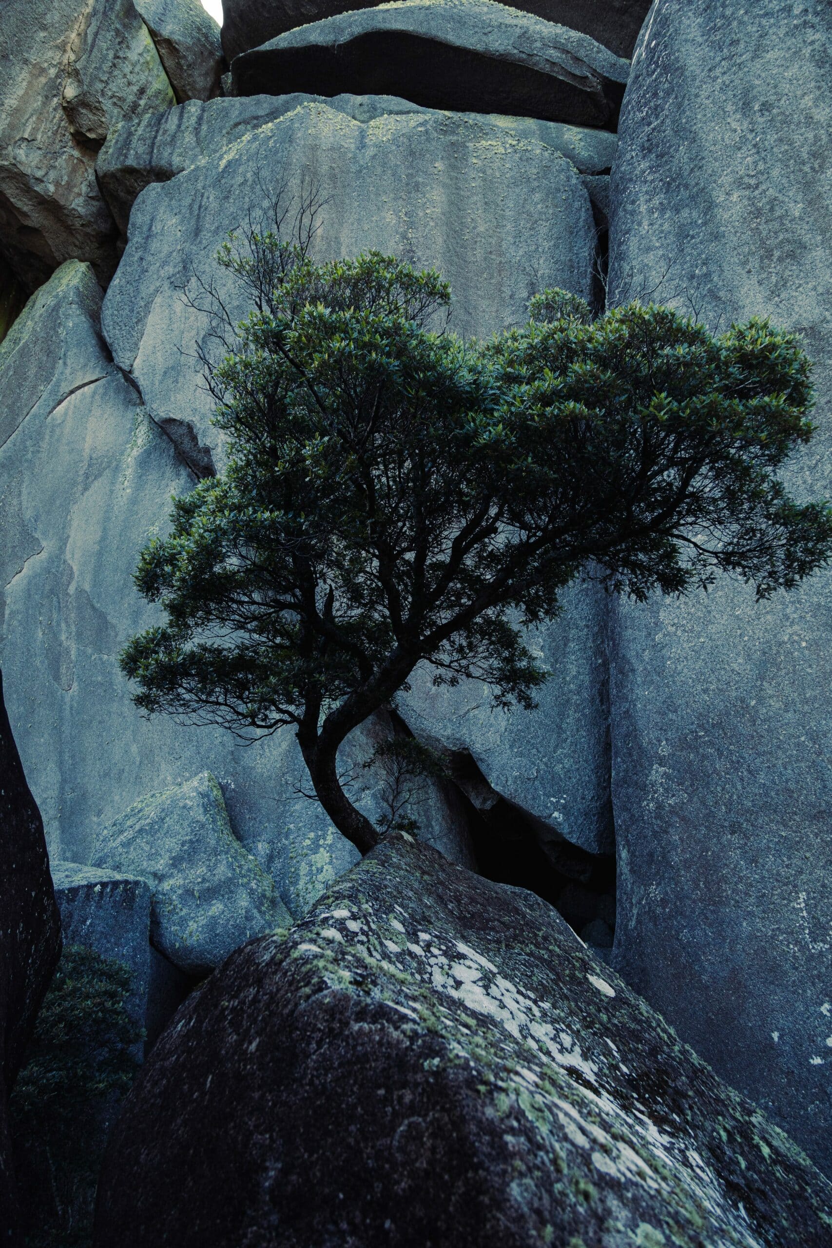 Künstliche Intelligenz als Wettbewerbsvorteil: Wie Geschäftsführer davon profitieren können