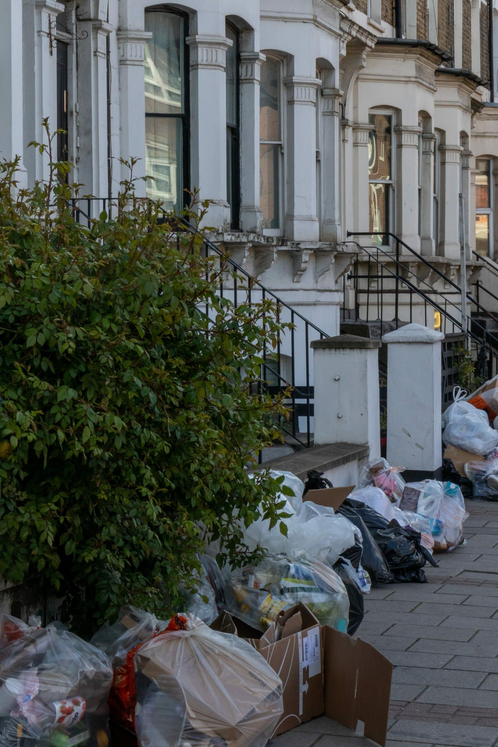 Cloud Computing in der Recyclingbranche: Vorteile und Einsatzmöglichkeiten