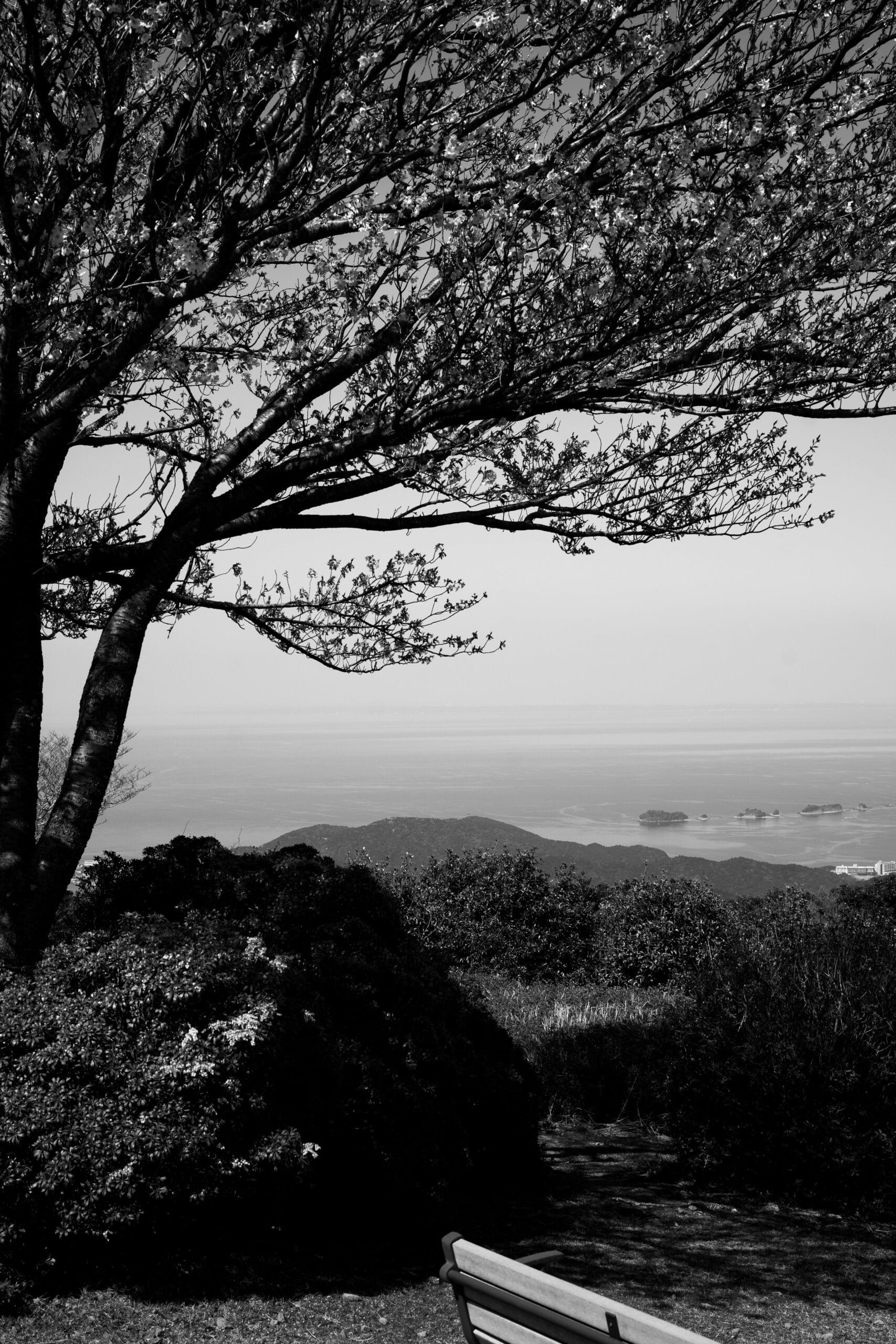 Einführung in Cisco Identity Services Engine (ISE): Eine umfassende Lösung für die Netzwerkzugriffskontrolle