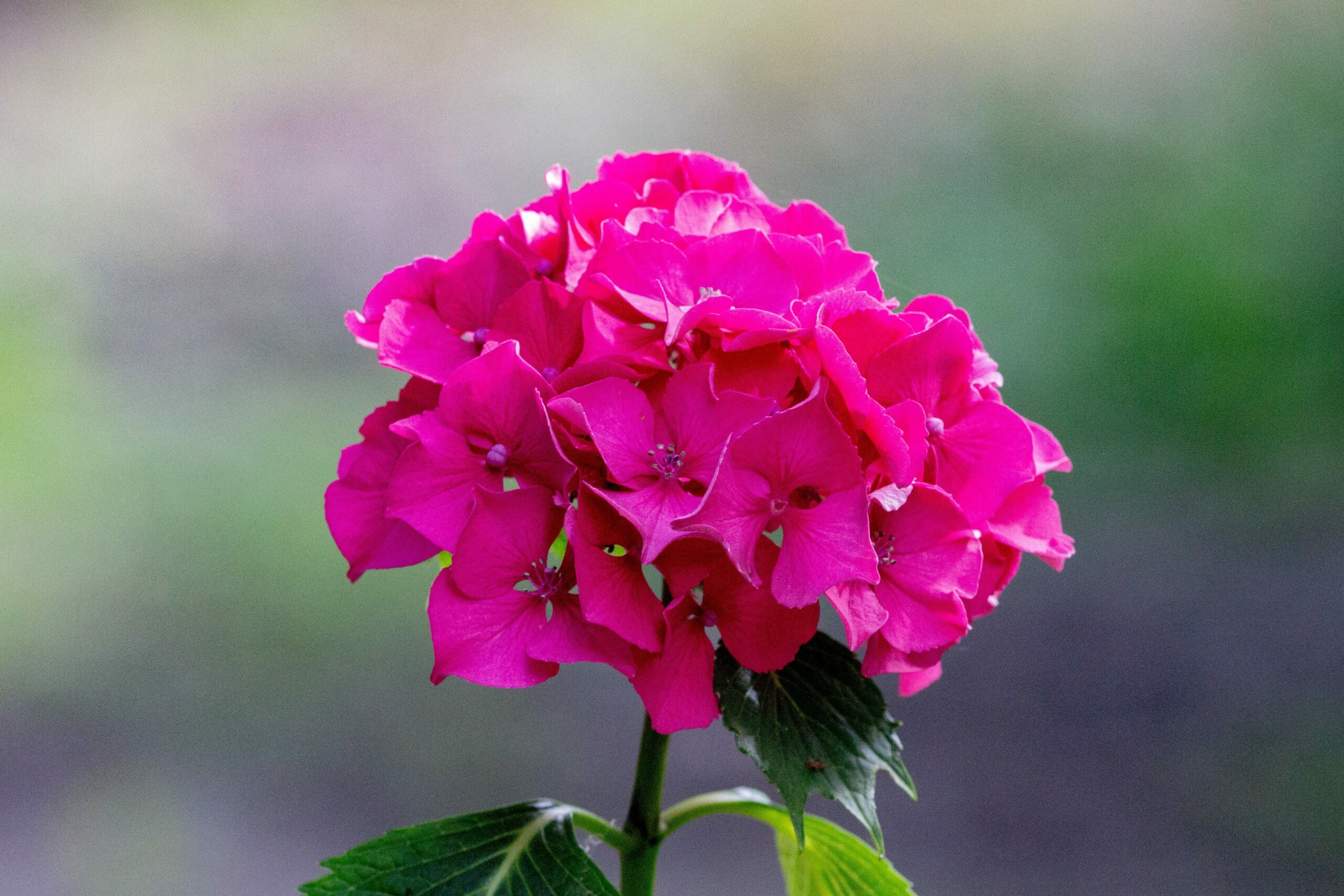 [](https://pub-aaa581b3199a4013b55db900a21532ea.r2.dev/wp-content/uploads/ozubnc-6e2s-e1684360909227.jpg)
Die Rolle der Führungskraft im hybriden Arbeitsmodell: Herausforderungen und Lösungsansätze