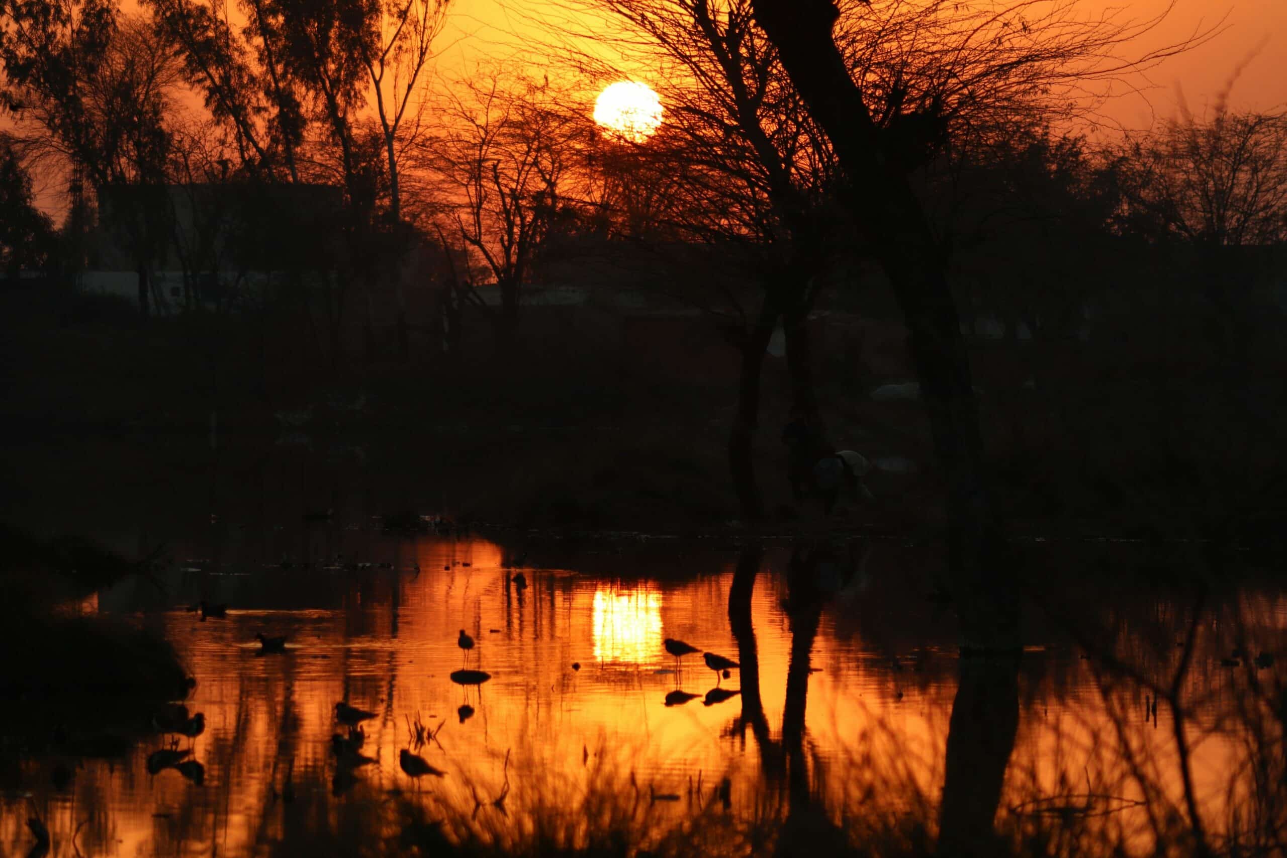 Social Media und Influencer-Marketing: Wie Unternehmen von digitalen Kommunikationsstrategien profitieren können