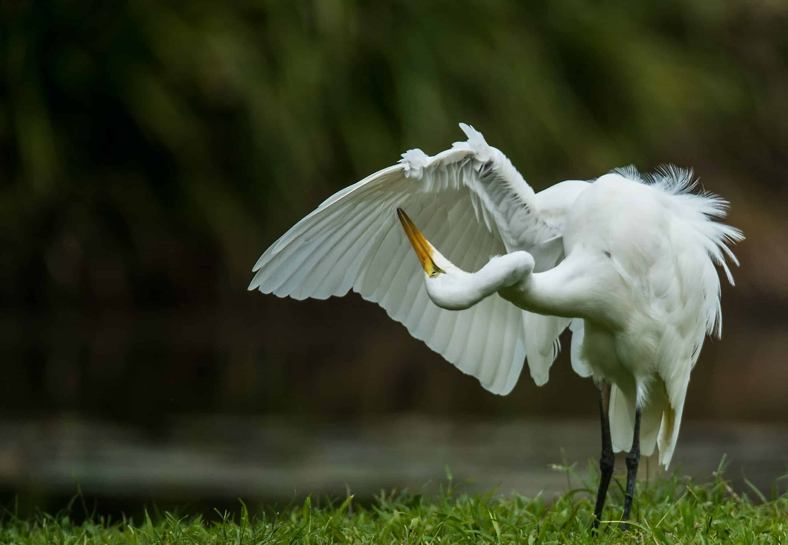 Edge Computing: Die Lösung für Datenschutz und -sicherheit in Unternehmen