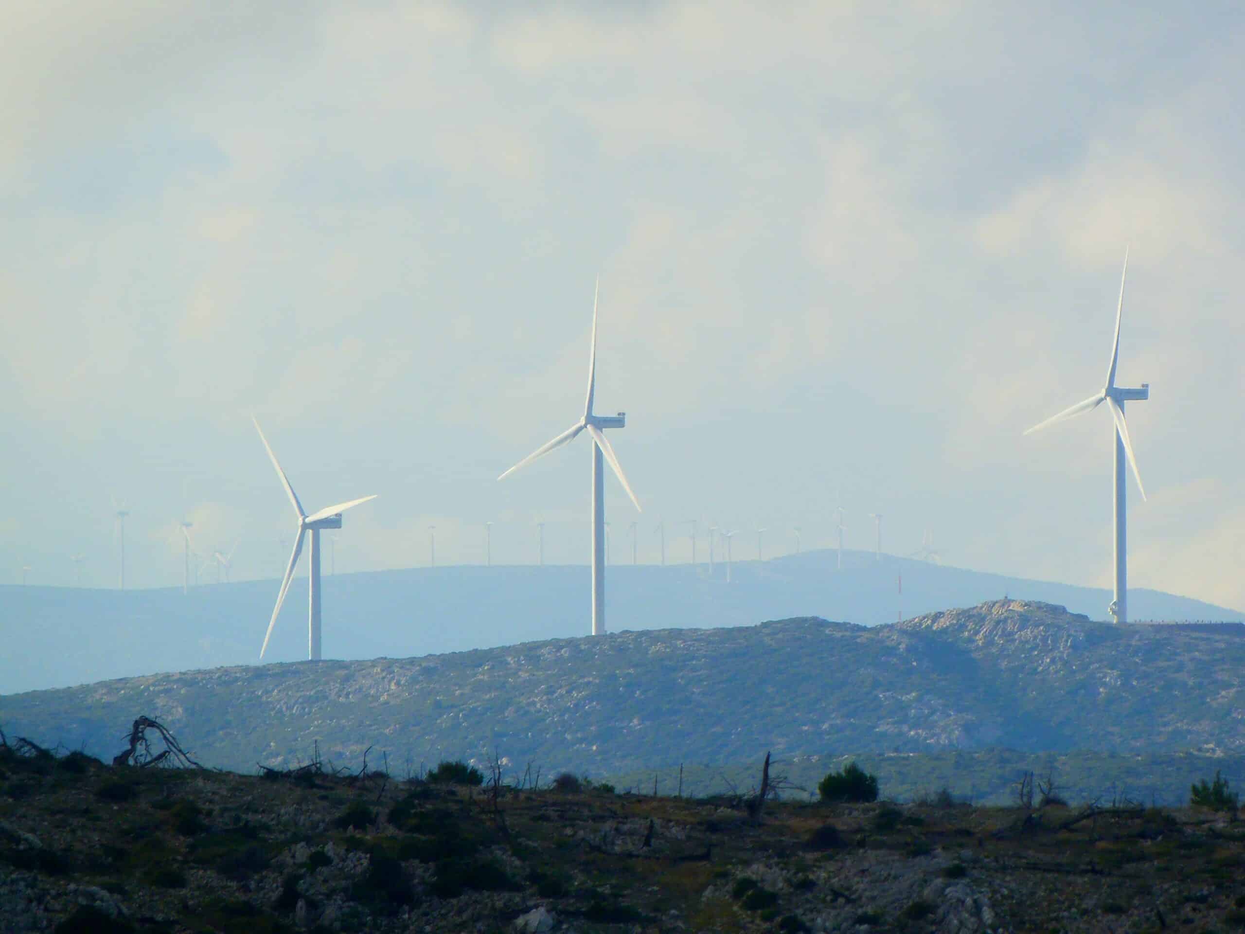 ESG-Benchmarks: Wie Geschäftsführer ihre Nachhaltigkeitsleistung messen können