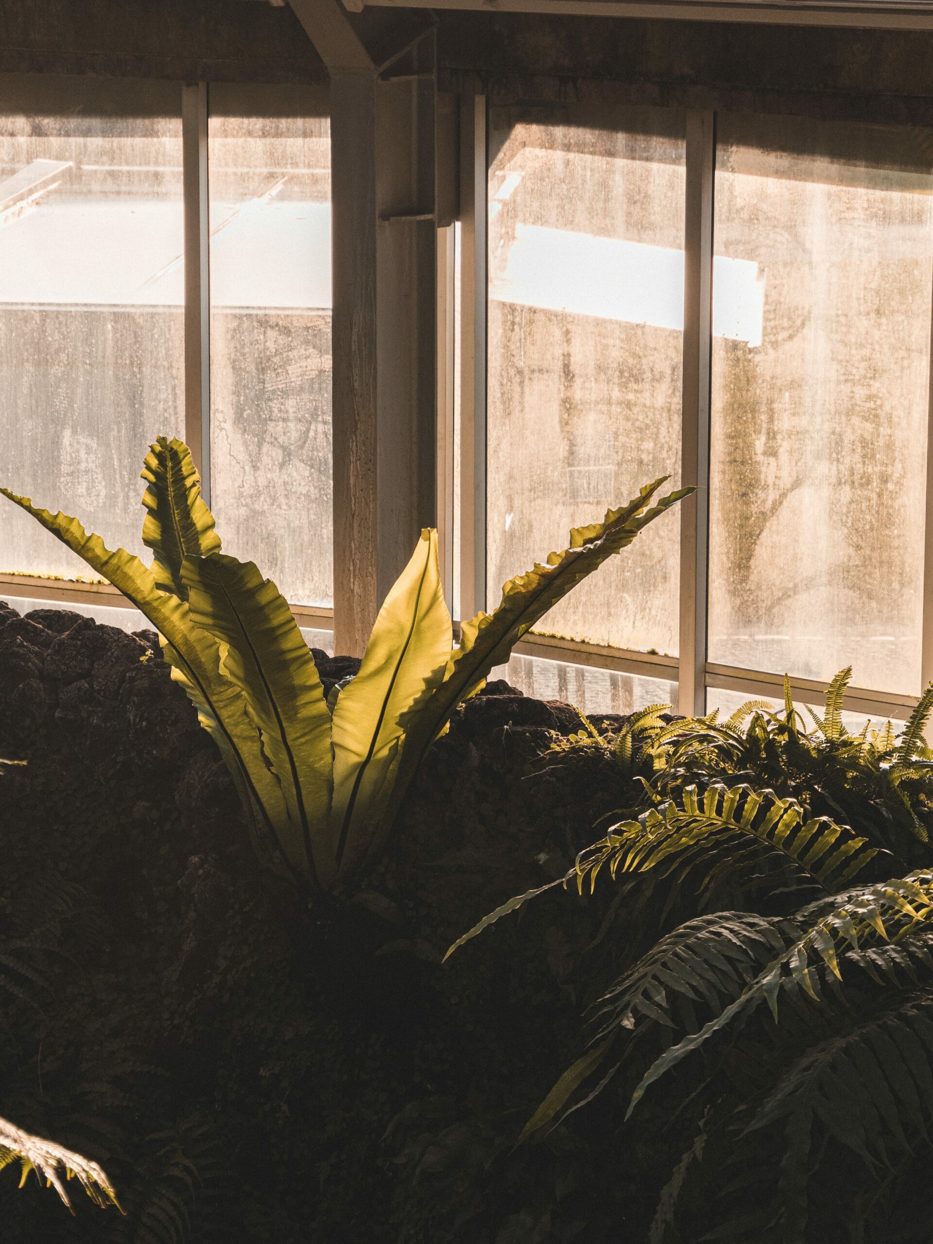 Digitalisierung im Garten- und Landschaftsbau: Potenziale für Kosteneinsparungen