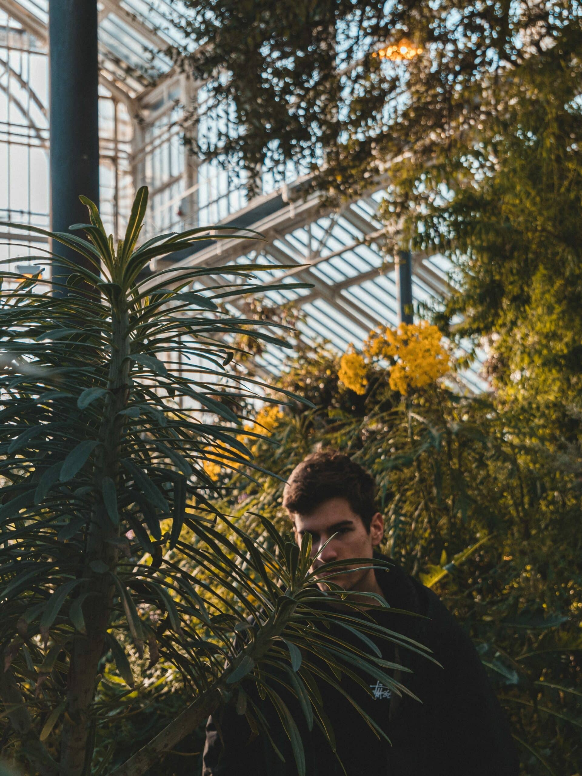 IT-Innovationen im Garten- und Landschaftsbau: Einsparungen und Effizienzsteigerungen