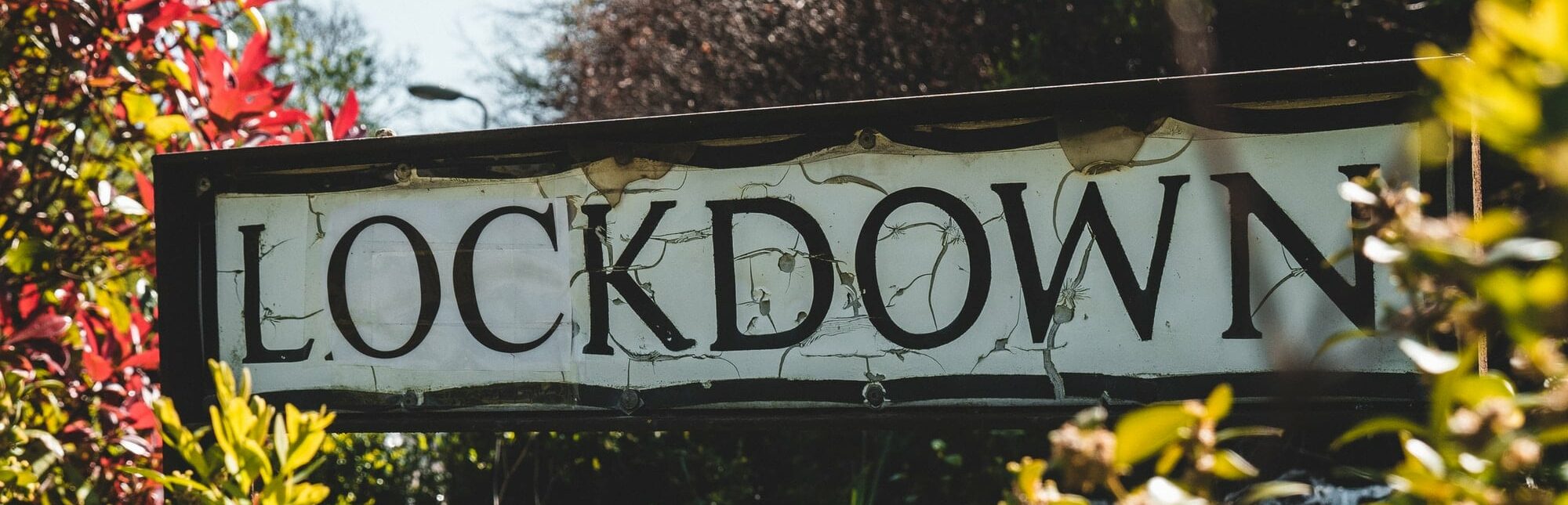 IT-Sicherheit: 6 Coronavirus und IT-Betrugsversuche, auf die jedes Unternehmen achten sollte