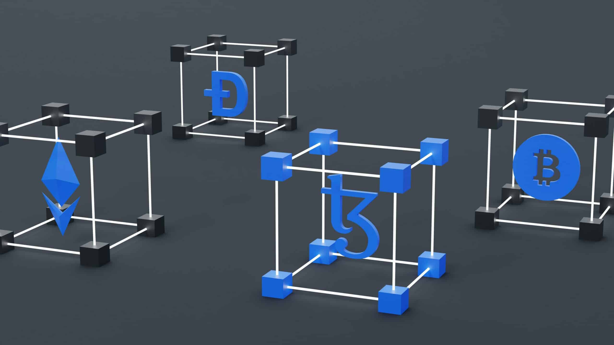 Die Bedeutung eines LAN (Local Area Network) für IT-Entscheider: Alles, was Sie wissen müssen.