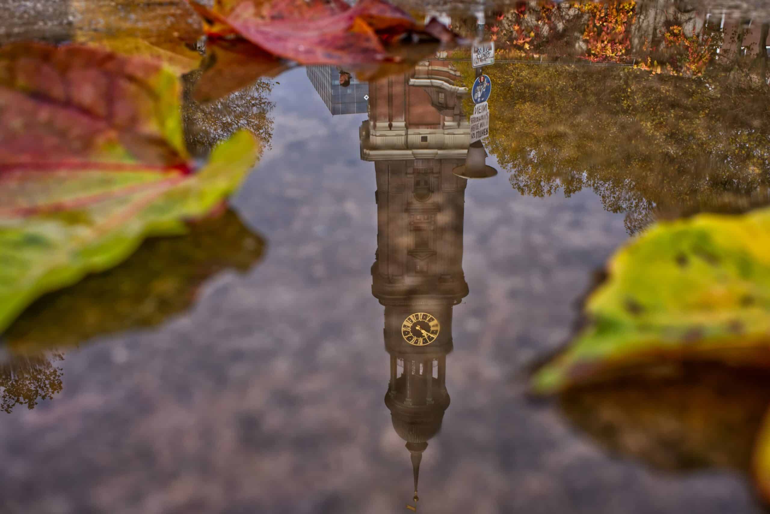 Erfolgreiche Remote-Arbeit mit Microsoft Teams: Tipps für Geschäftsführer in Hamburg