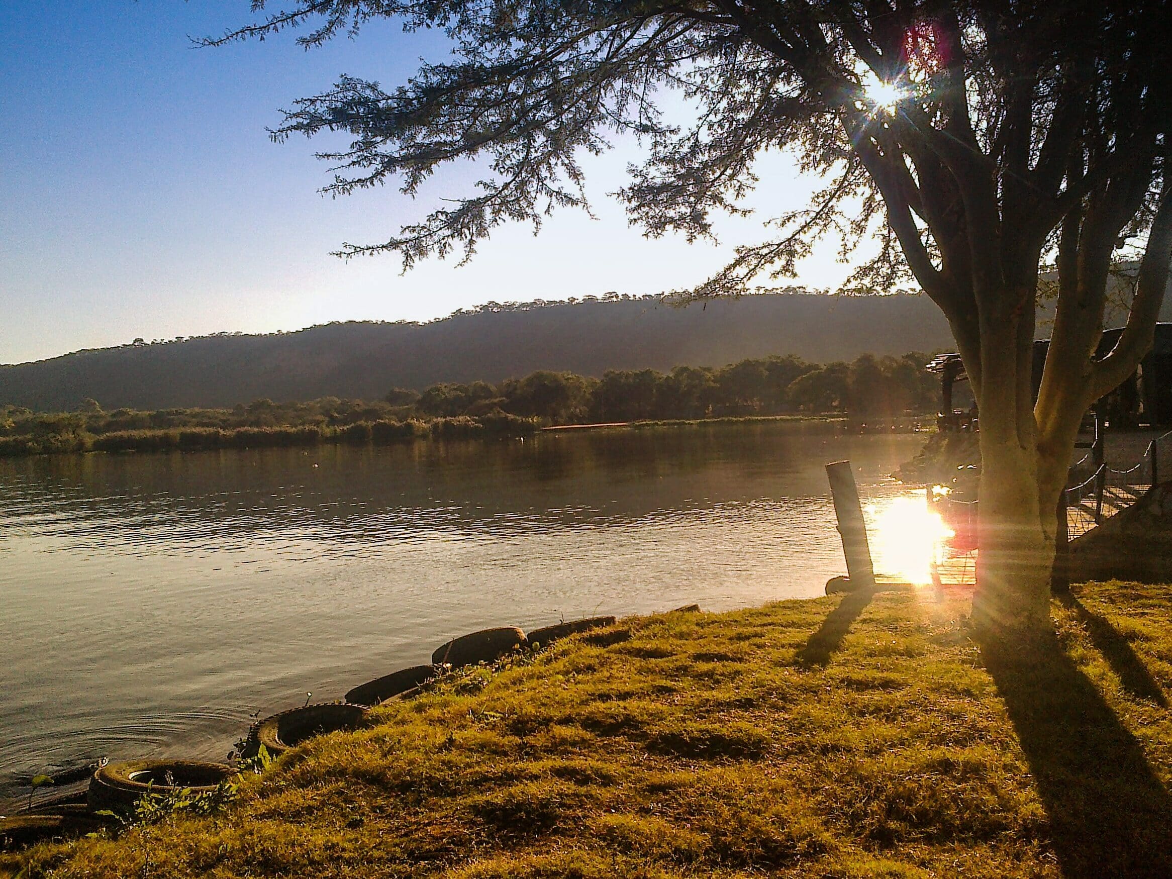 Norton Backup: Tipps und Tricks für IT-Leiter zur optimalen Nutzung