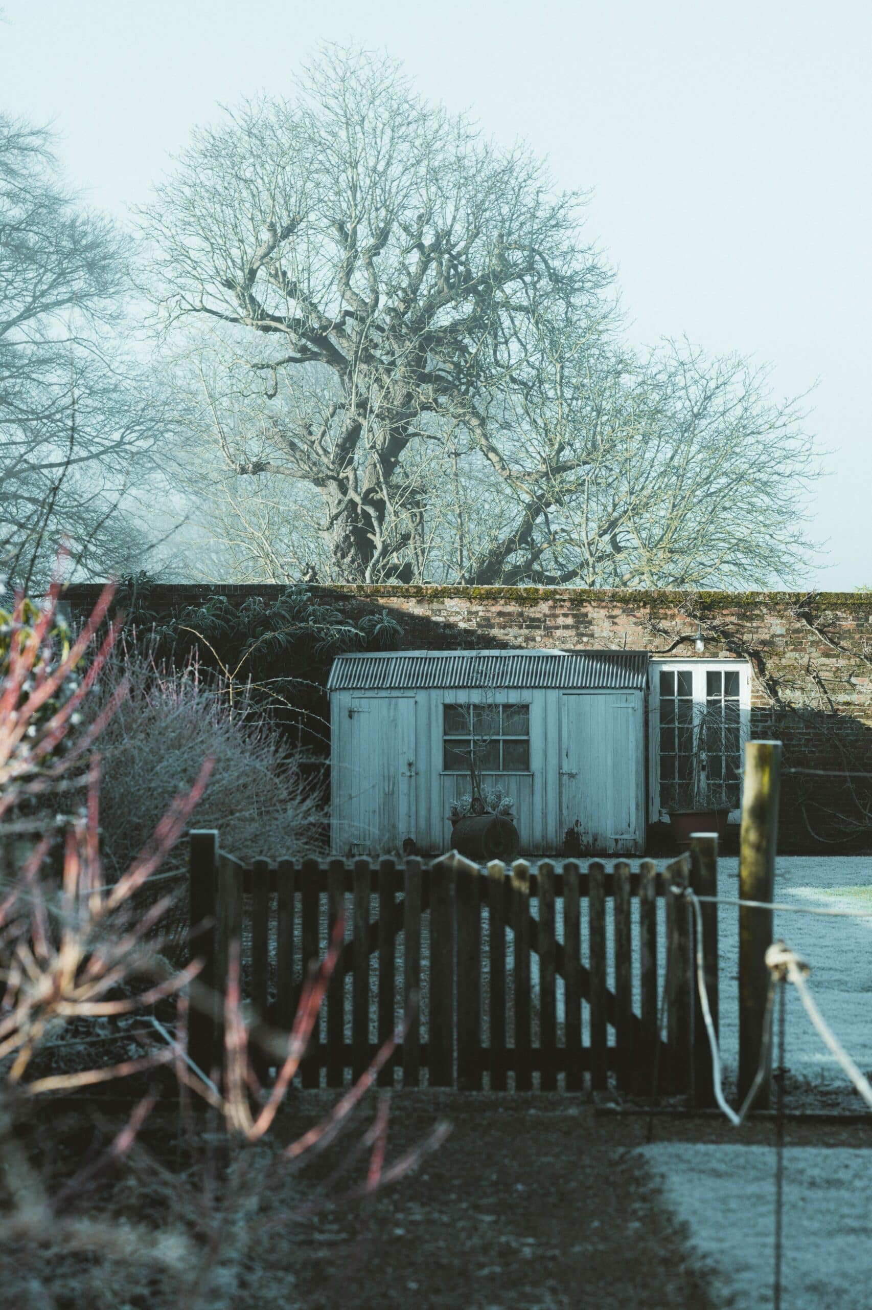 Pure Storage vs. herkömmliche Speicherlösungen: Eine Entscheidungshilfe für IT-Leiter