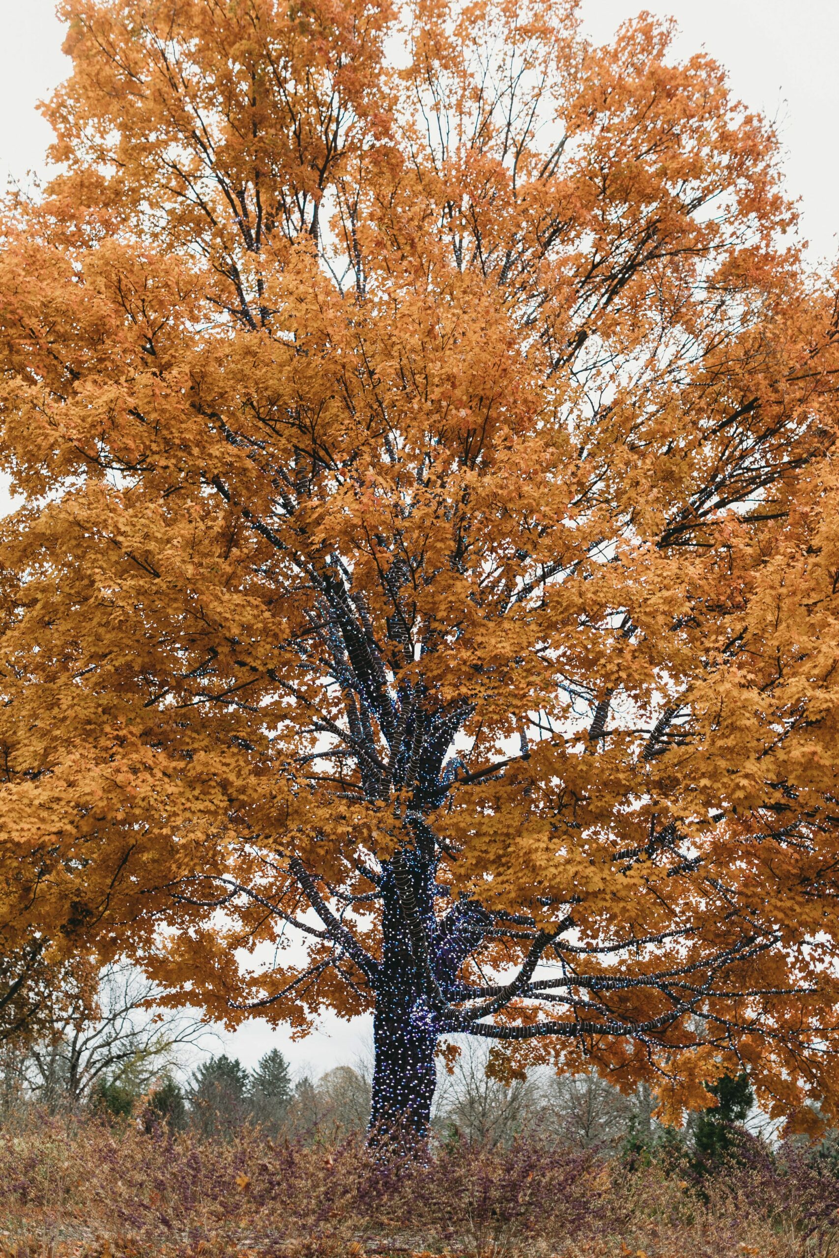 Unternehmensführung in unsicheren Zeiten: Erfahrungen aus der Praxis