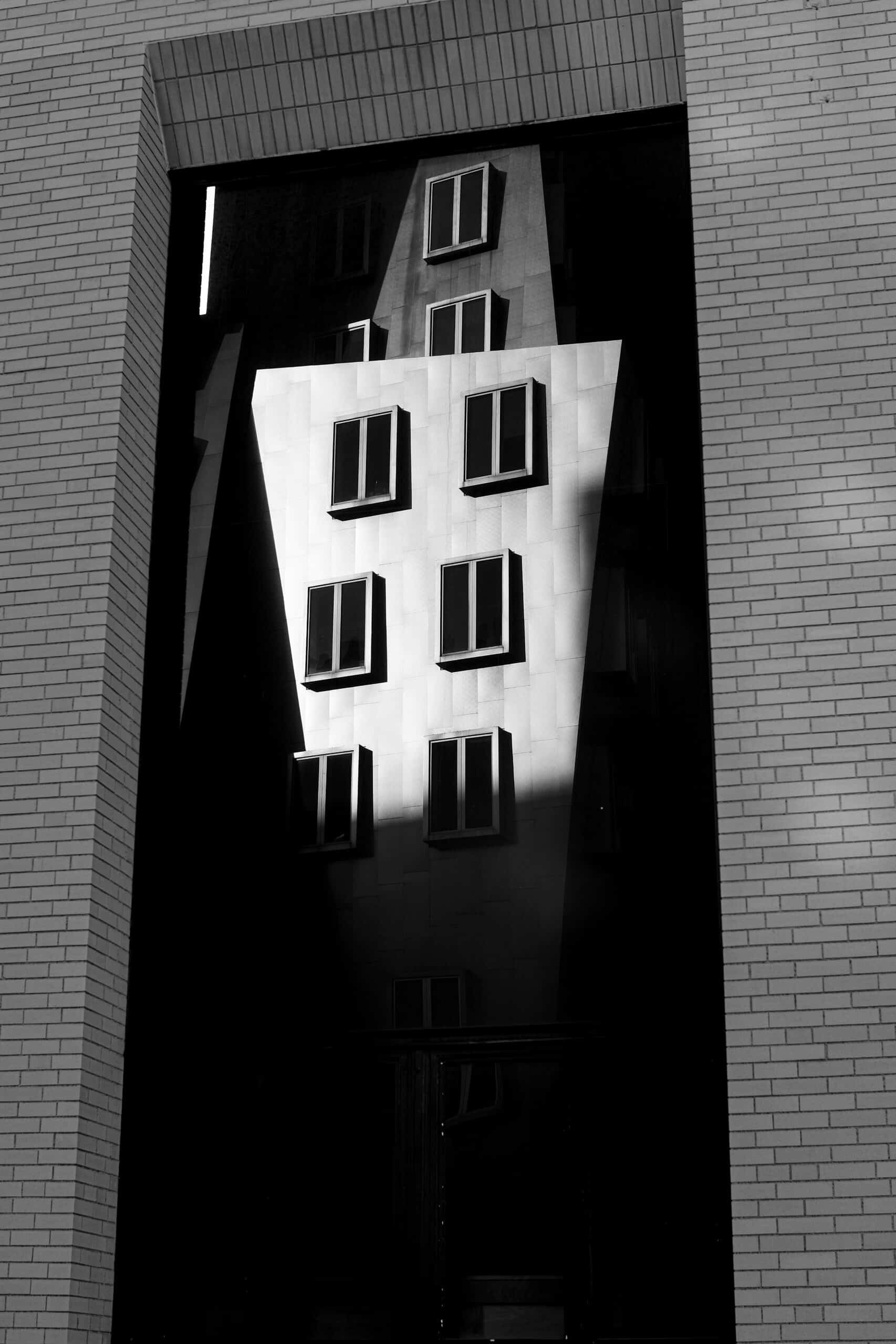 Die Risiken von Datenverlust und wie Backup-Lösungen diese minimieren