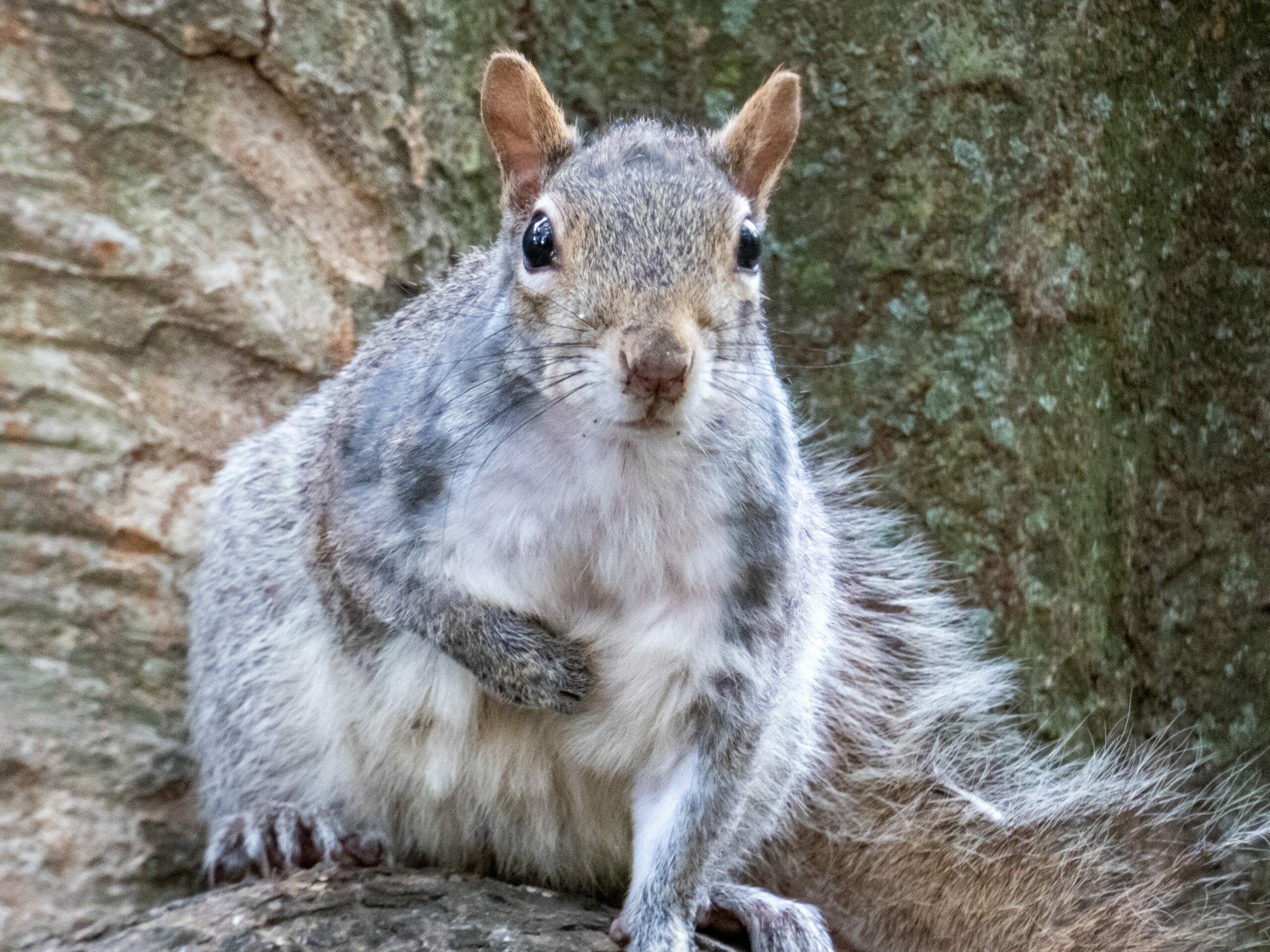 Kundenverständnis im digitalen Zeitalter: Wie Unternehmen mit KI ihre Kunden besser verstehen und ansprechen können